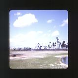 scan0005