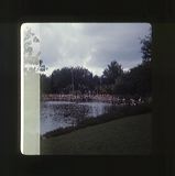 scan0011