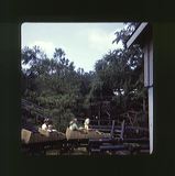 scan0060
