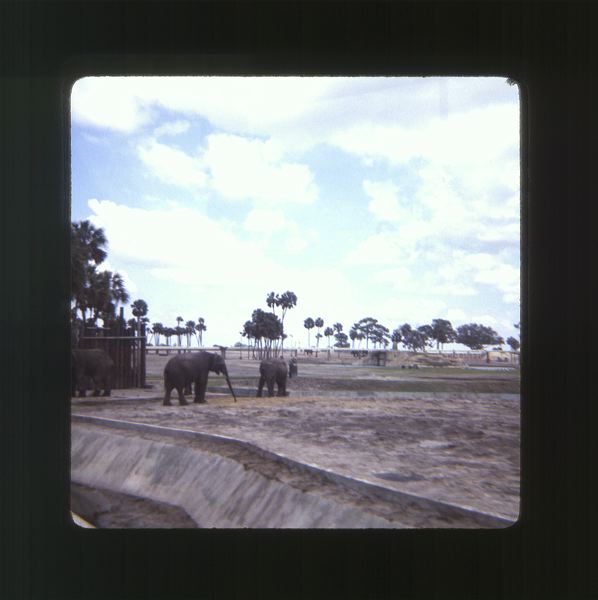 scan0007.jpg