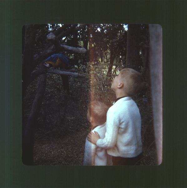 scan0010.jpg