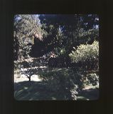 scan0044