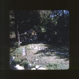 scan0045