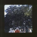 scan0058