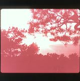 scan0070