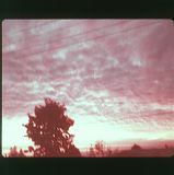 scan0071