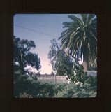 scan0073