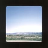 scan0074