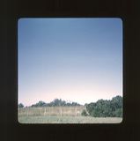 scan0075