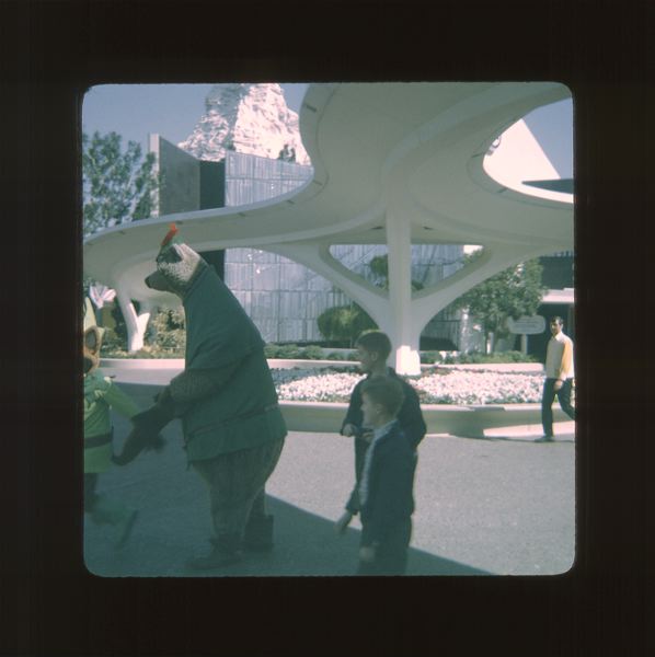 scan0019.jpg