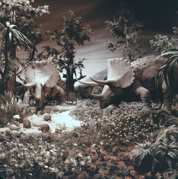 scan0027.jpg