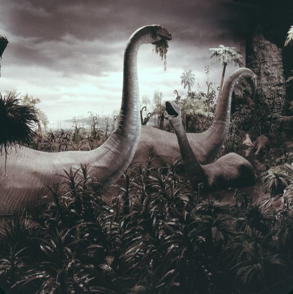scan0029.jpg