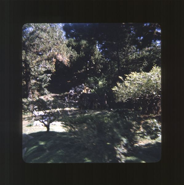 scan0044.jpg