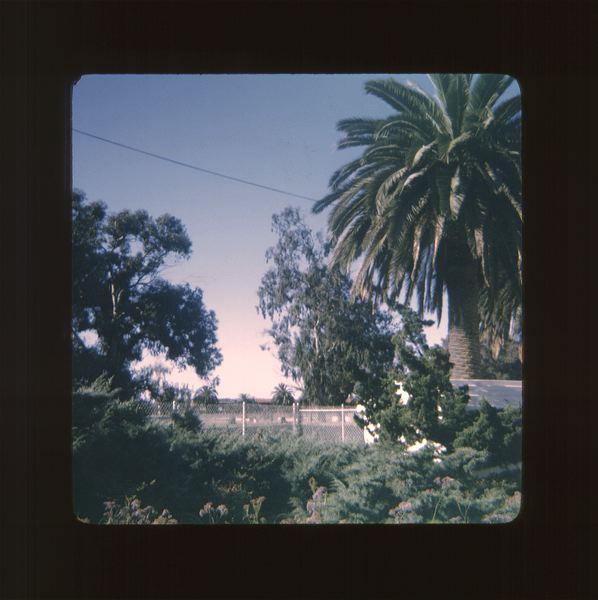 scan0073.jpg