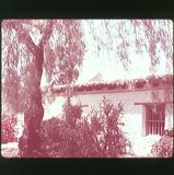 scan0007