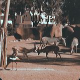 scan0024