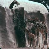 scan0035