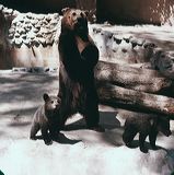 scan0036