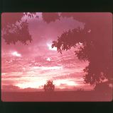 scan0040