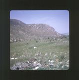 scan0063