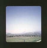 scan0064