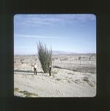 scan0076