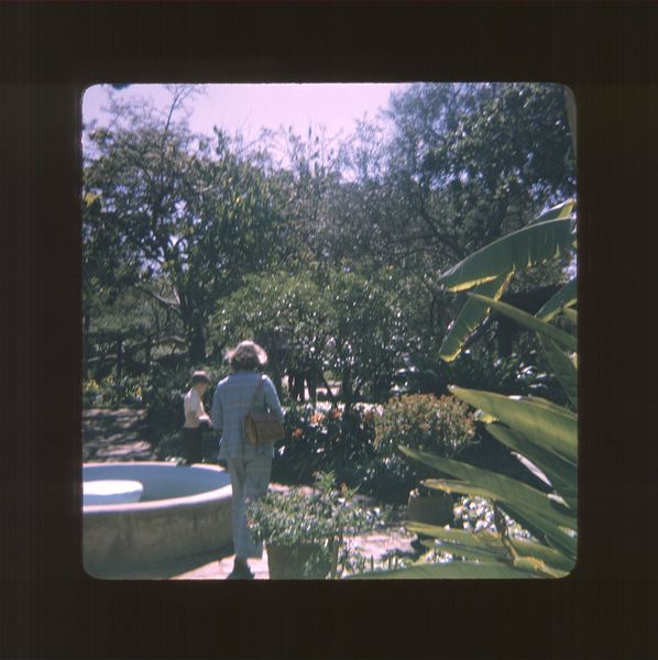 scan0008.jpg