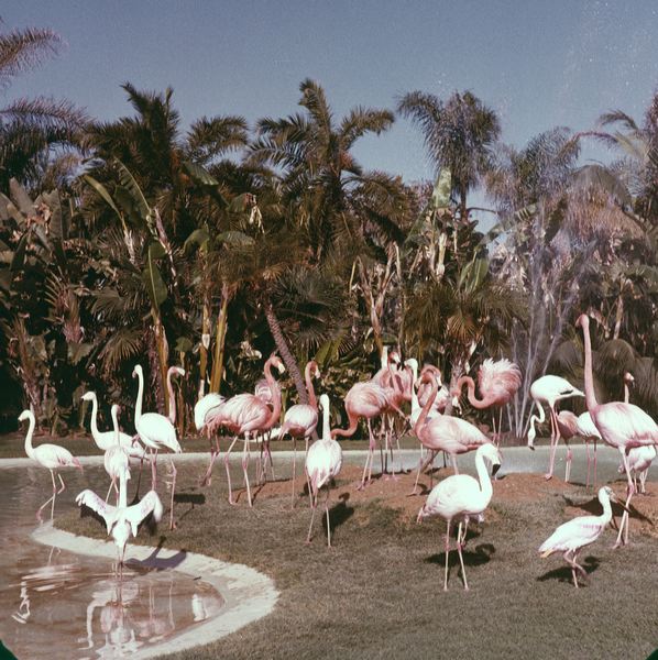 scan0021.jpg
