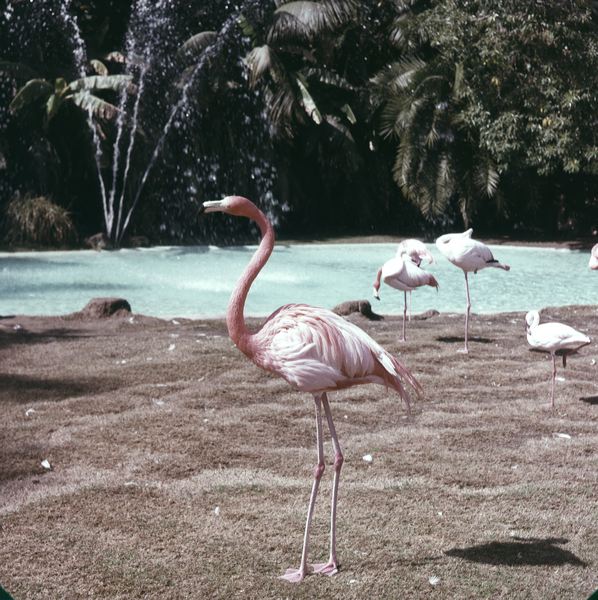 scan0022.jpg