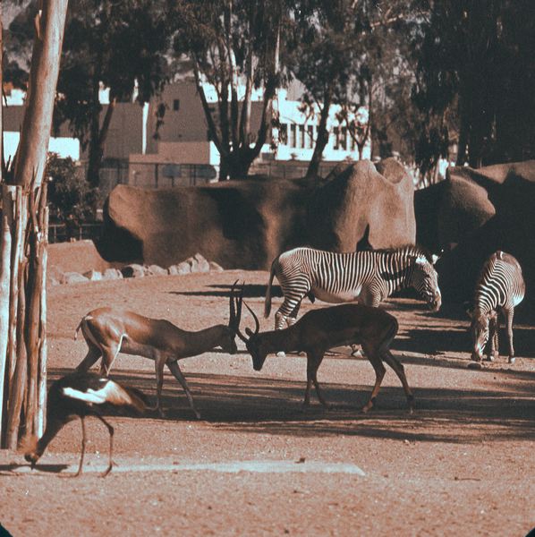 scan0024.jpg