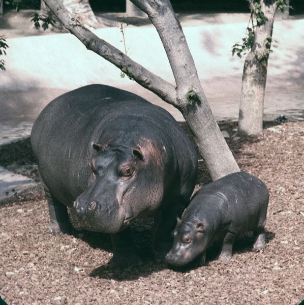 scan0027.jpg