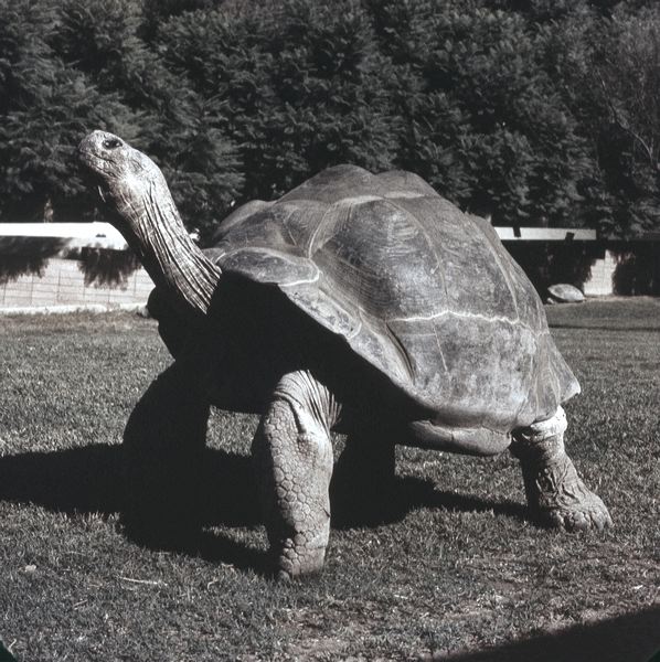 scan0029.jpg