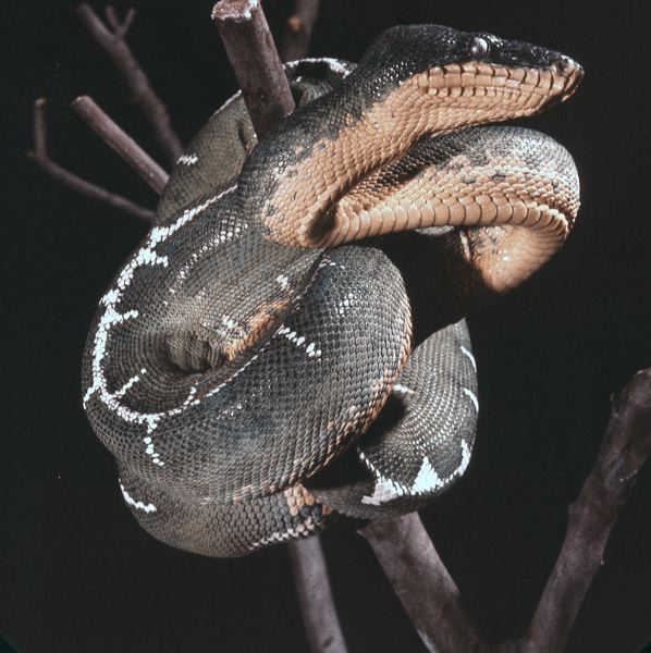 scan0032.jpg