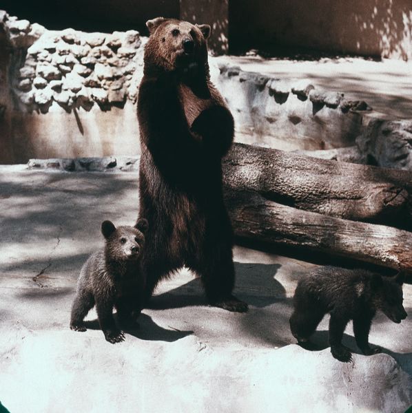 scan0036.jpg