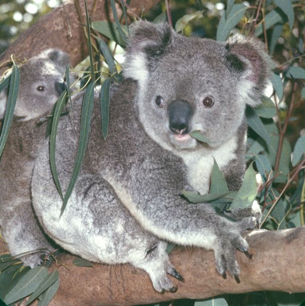 scan0037.jpg