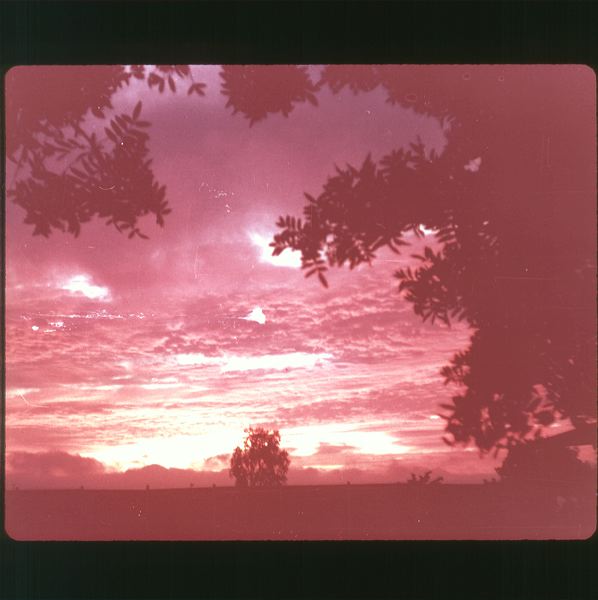 scan0040.jpg