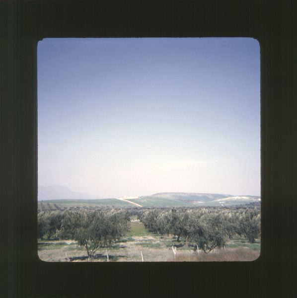 scan0065.jpg
