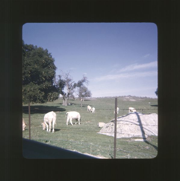 scan0069.jpg