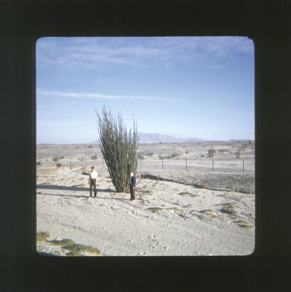 scan0076.jpg