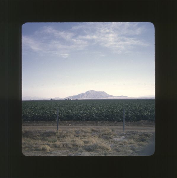 scan0077.jpg