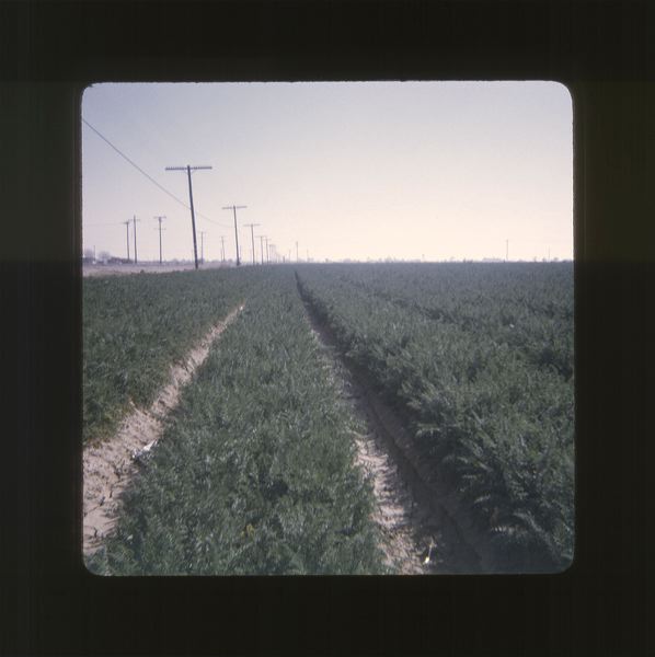 scan0079.jpg