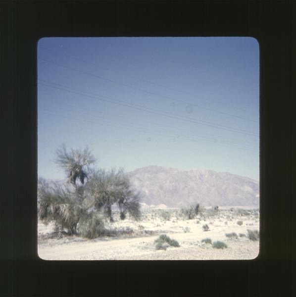 scan0080.jpg