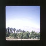 scan0004