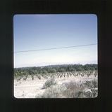 scan0005