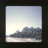 scan0006