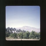 scan0007