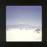 scan0008