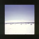 scan0009