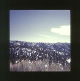 scan0019