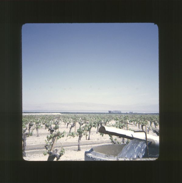 scan0001.jpg